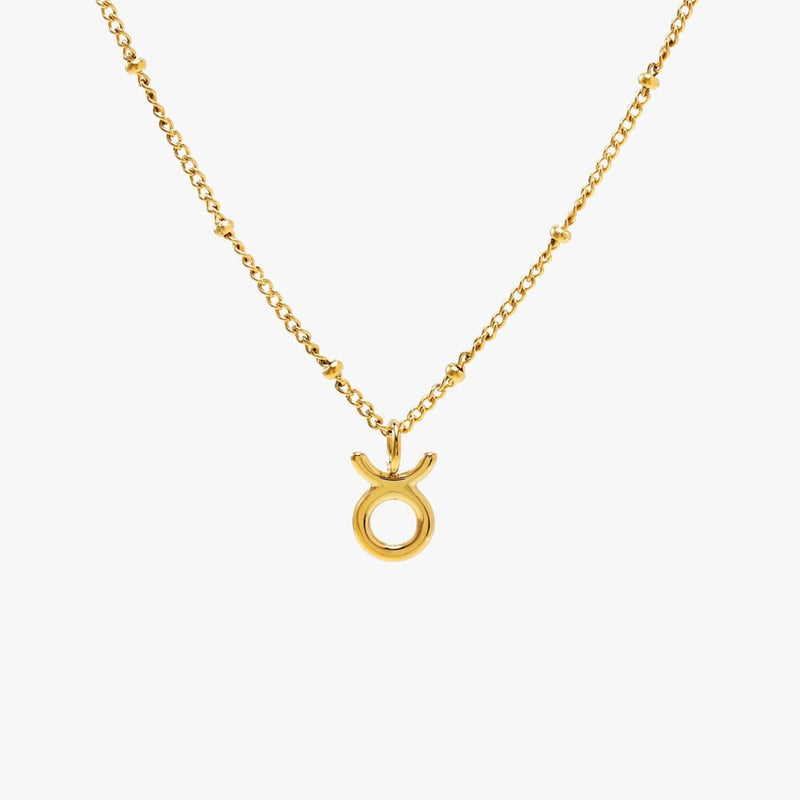 Zodiac Harmony Charm Necklace